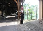 161 Diessenhofen (CH) 31 maggio 2012